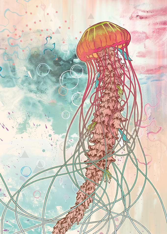 Jellyfish