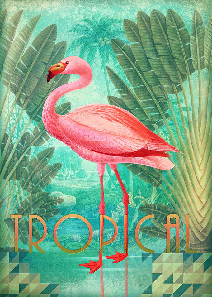 Tropical Collage