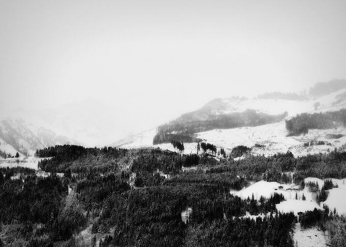 Snow Symphony ©2014 Anita Kovacevic