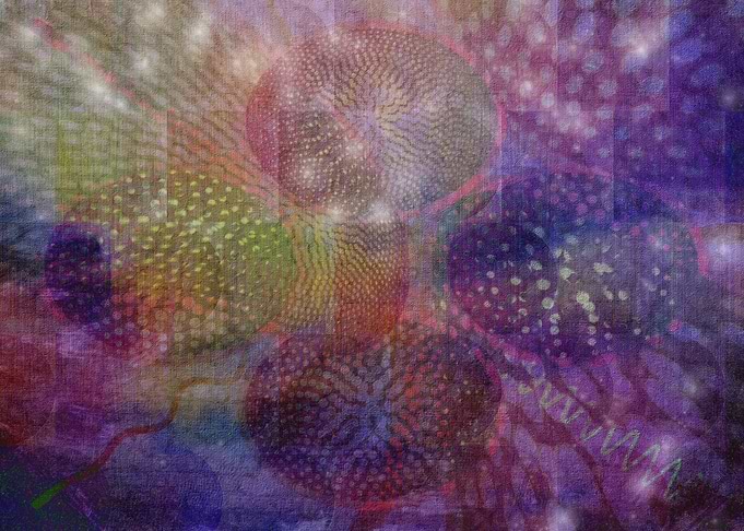 Jellyfish Ballet