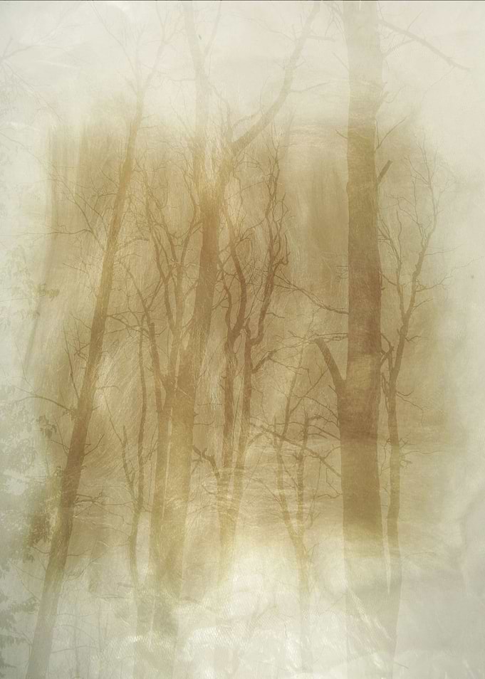 The Trees