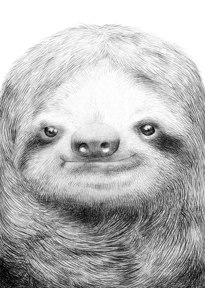 Sloth
