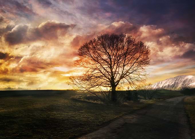 Summer Solstice