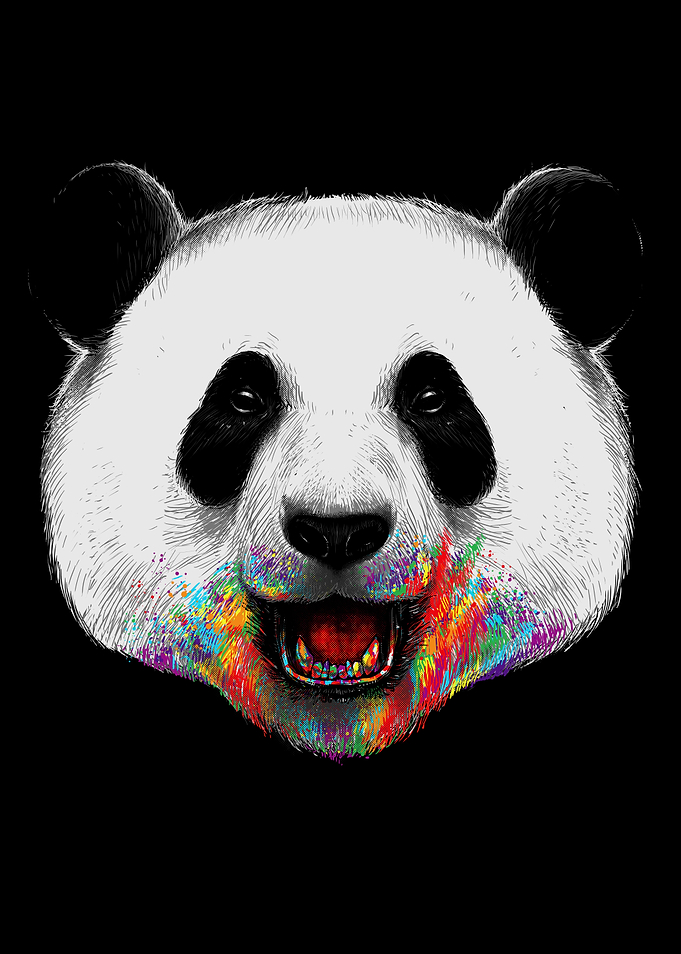 Where is the Rainbow?