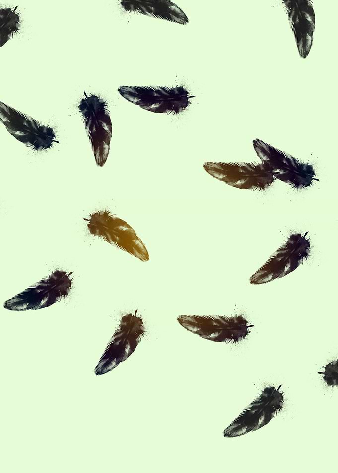 some feathers