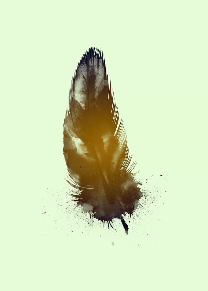 The Feather