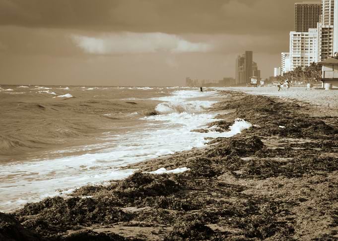 Storm by the Beach