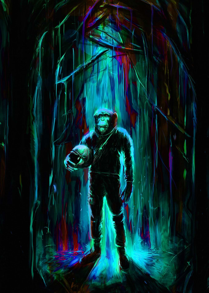 Commander Chimp