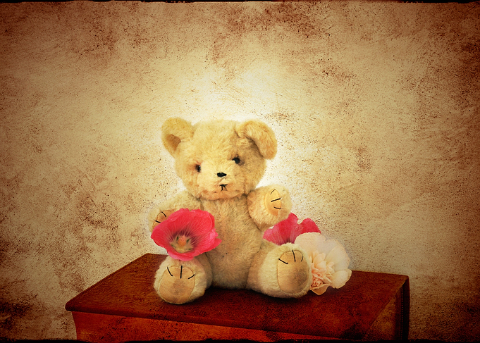 Old teddy bear