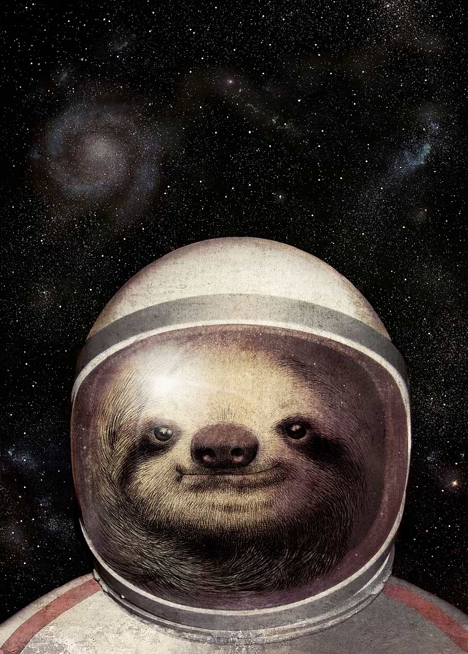 Space Sloth