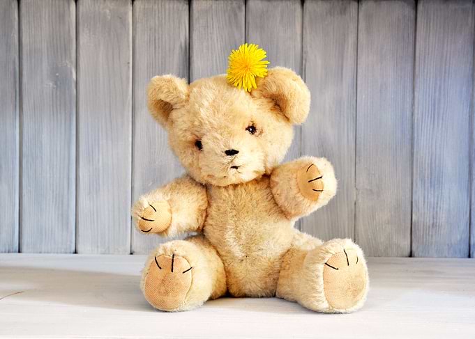 Retro teddy bear