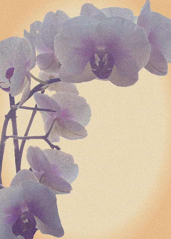 Vintage Orchid