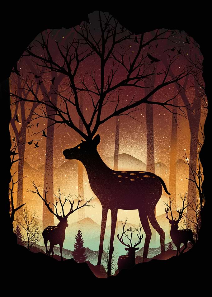 Into the Deer Woods
