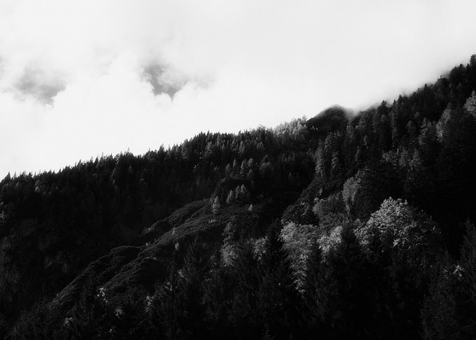 Silence ©2014 Anita Kovacevic