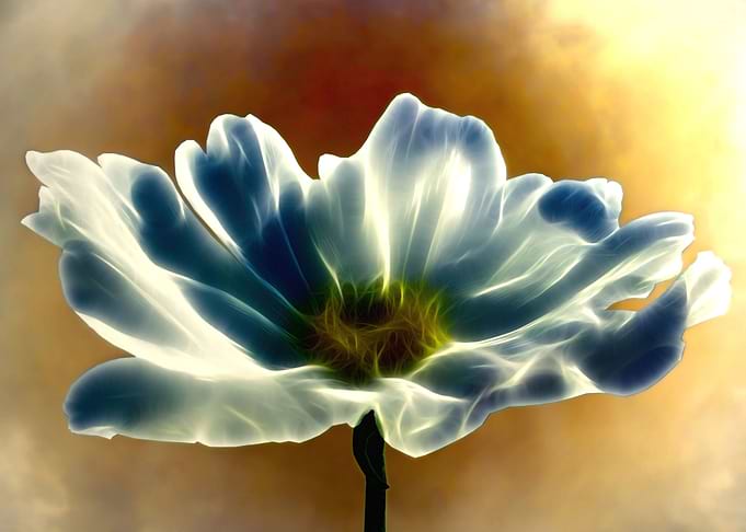 Electric cosmos