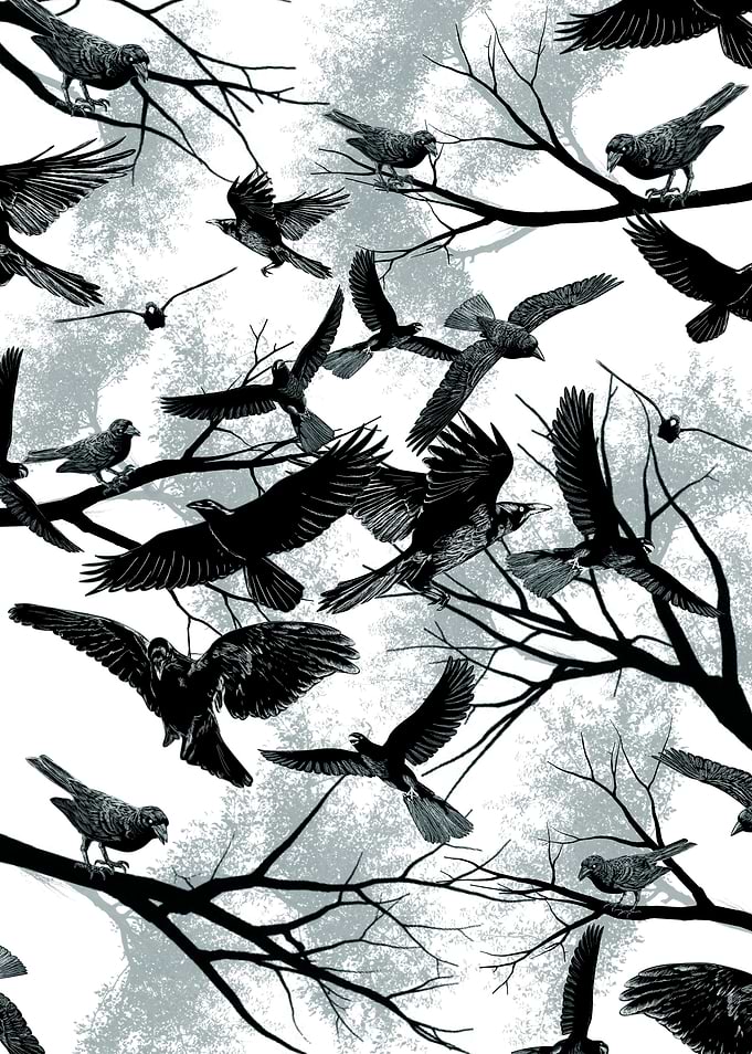 Blackbirds