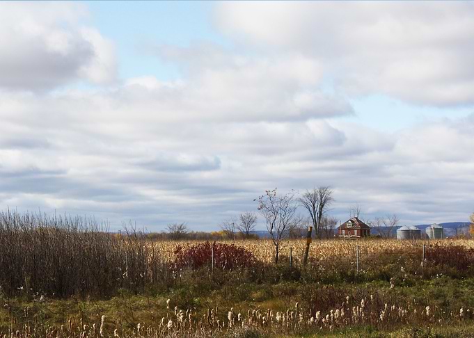 Countryside