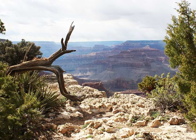 Canyon