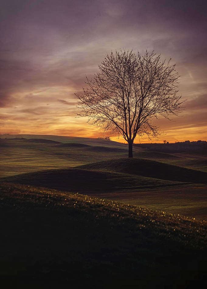 The rolling hills