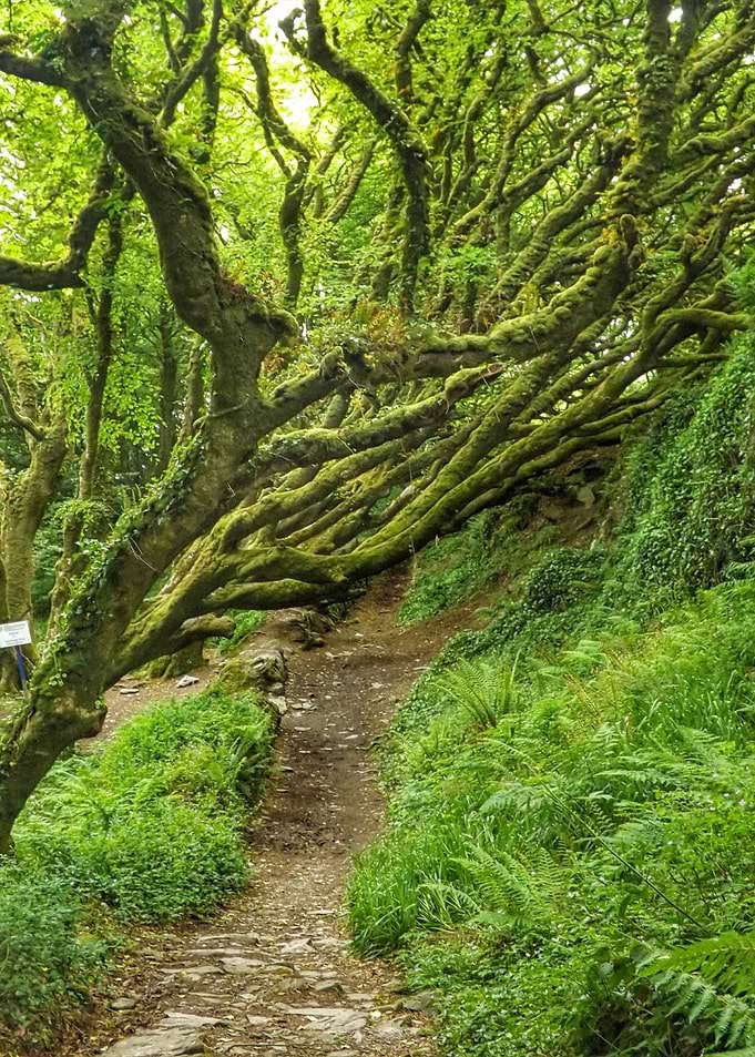 mystic nature
