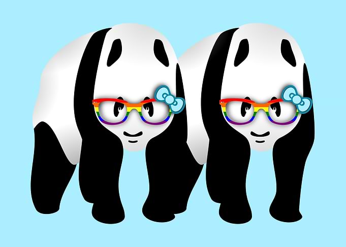 Gay Pride Pandas. Two cute panda bears standing side by ...