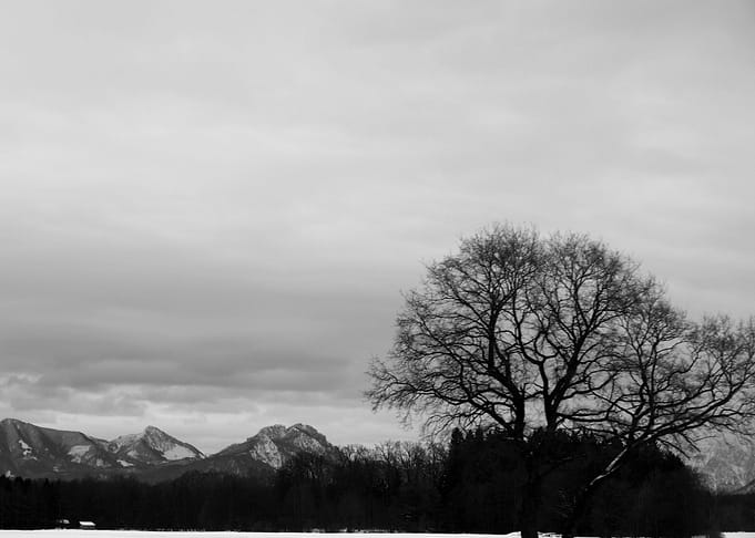 Whispering Peace IX ©2015 Anita Kovacevic