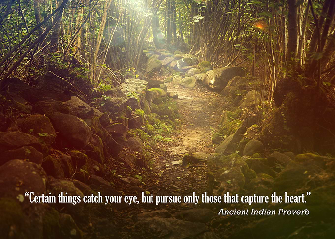 “Certain things catch your eye, but pursue only those t ...