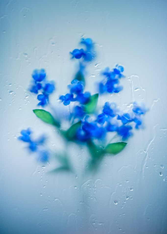 Blue Dream