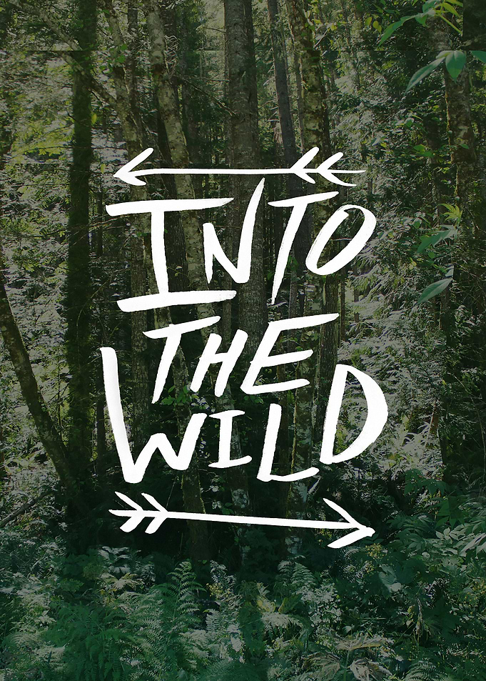 Into the Wild