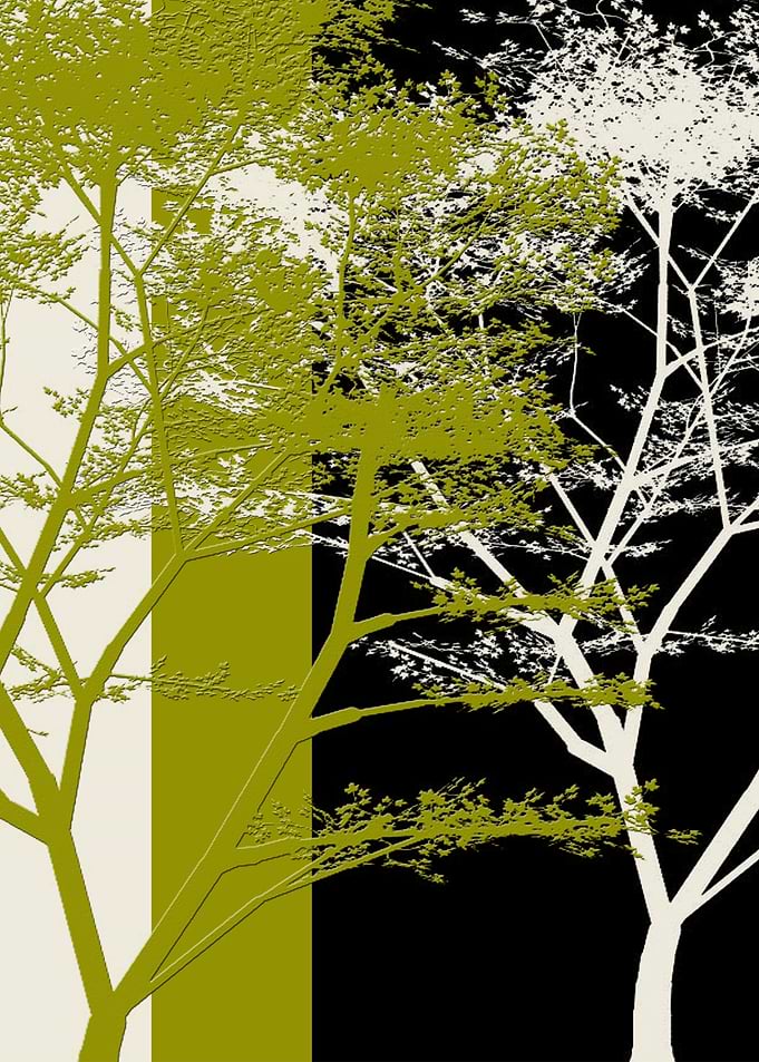 Trees 02