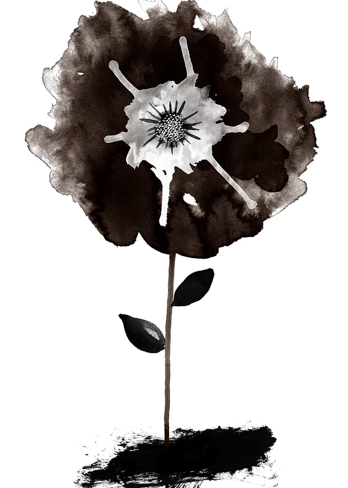 Black Flowers