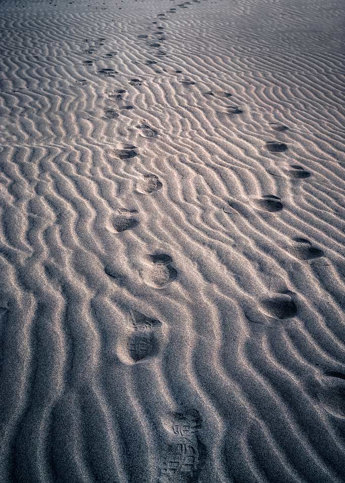 footprints in the sand