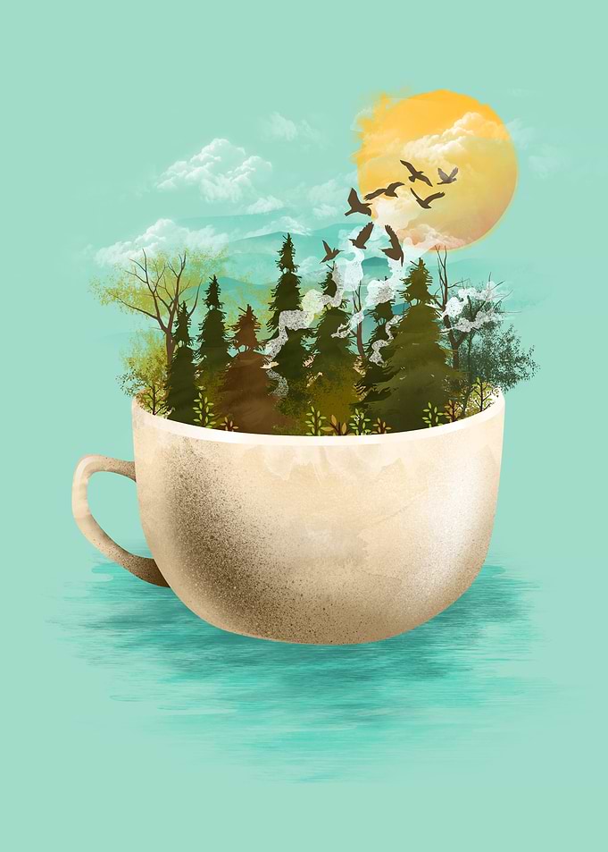 Here Comes the Sun