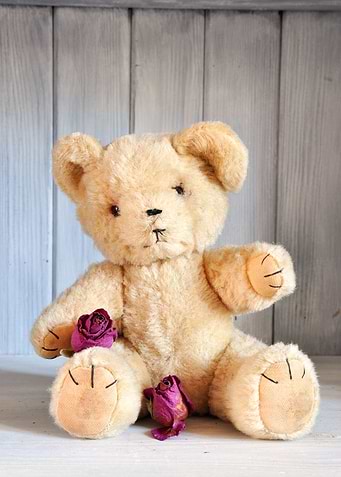 Toy Bear