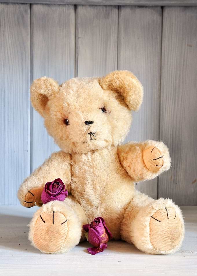 Toy Bear