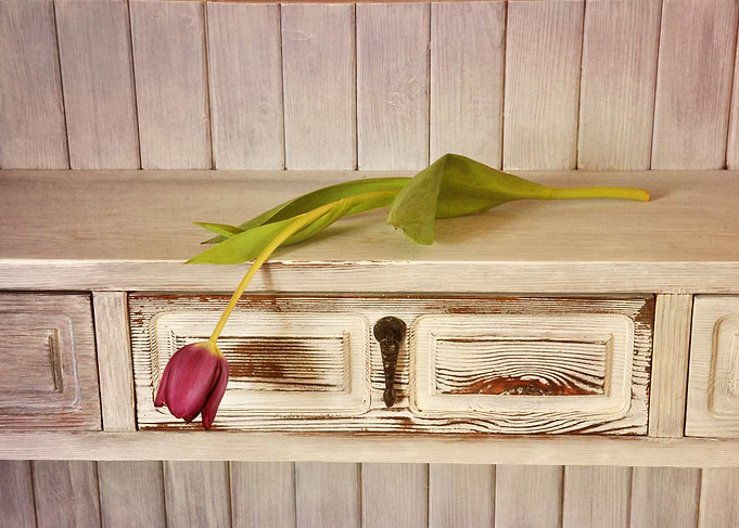 Tulip