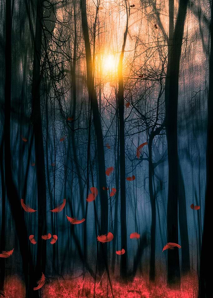 Red feather dance