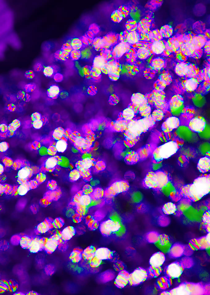 Tin Foil Bokeh