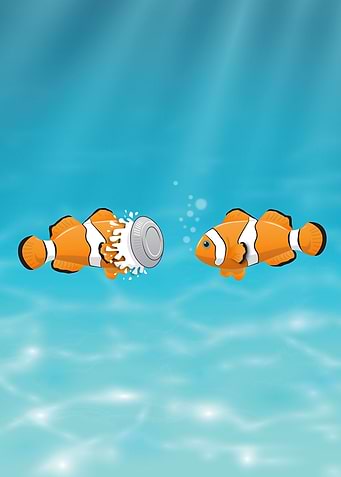 Clown fish