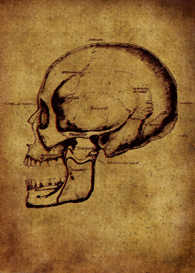 Anatomic10