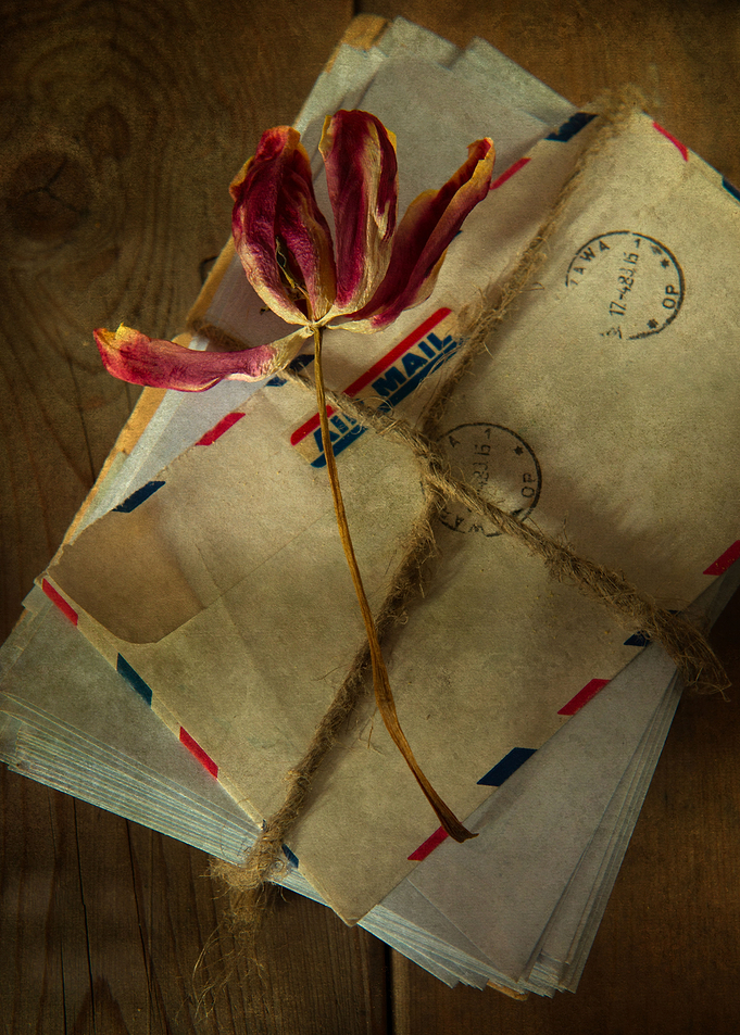 Still life with pile of old letters and dried tulip flo ...