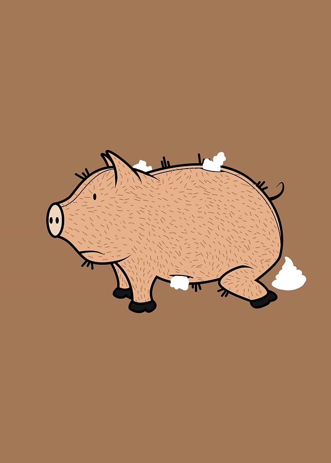 plush pig