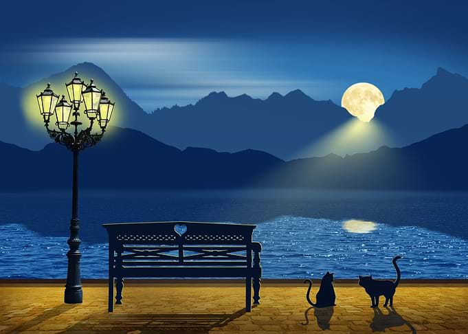 Silhouettes In The Moonlight