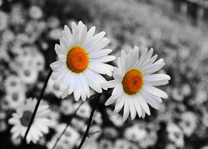 Standing Out