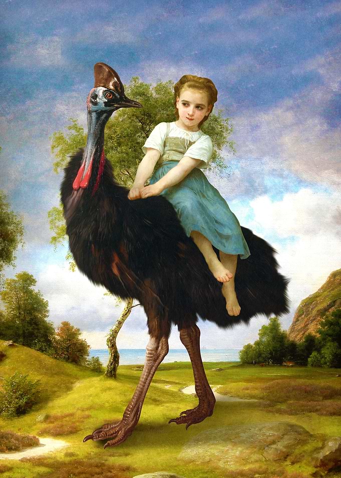 My Little Pet