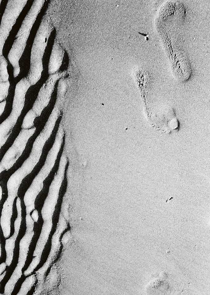 STEP