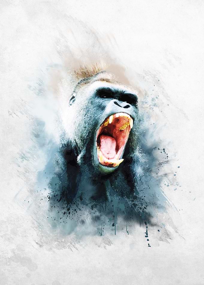 Angry Gorilla
