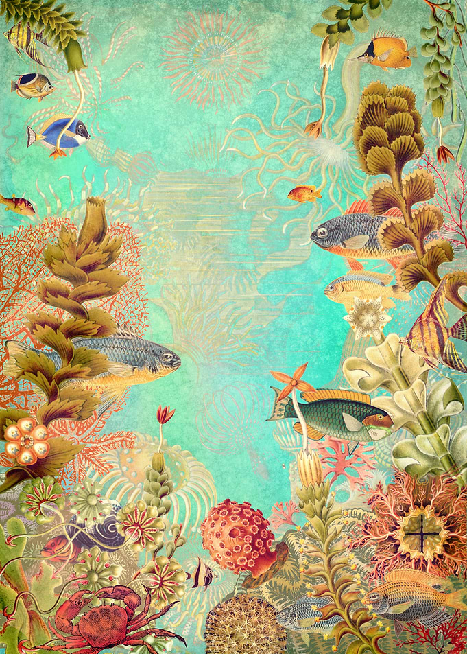 Tropical Caribbean Blue Collage