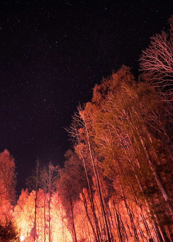 Firey woods