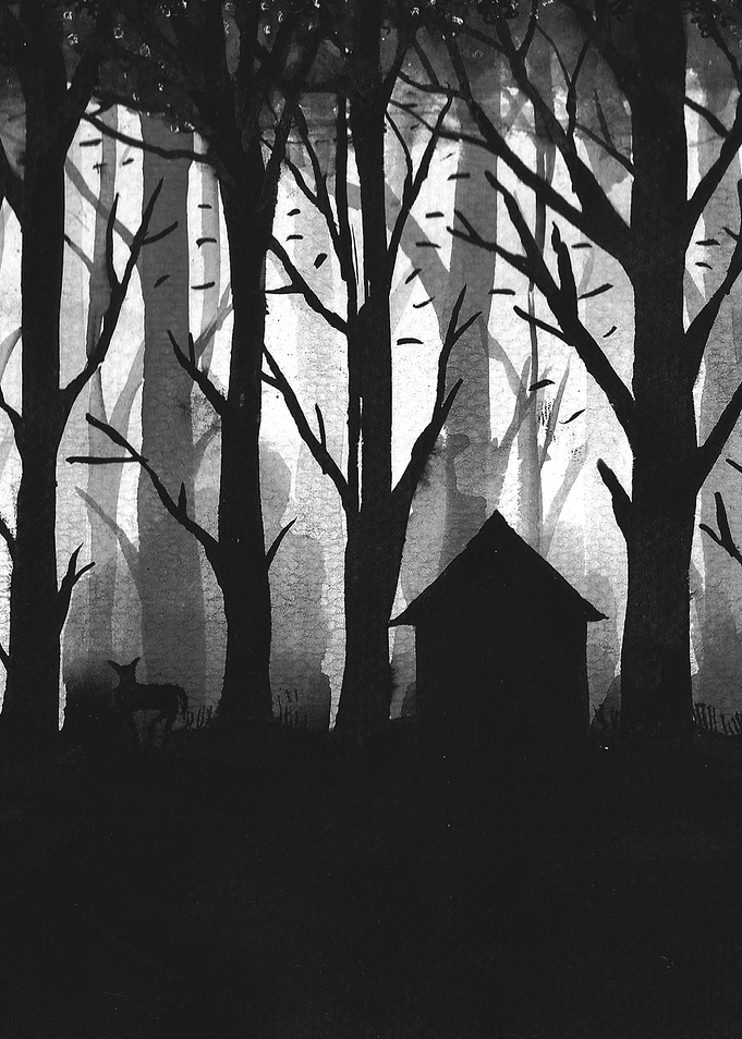 Into the Woods